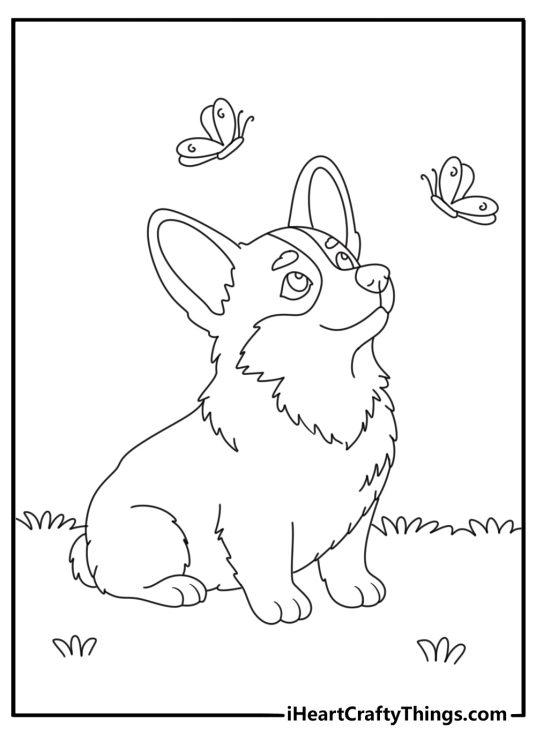 Corgi with Butterflies Coloring Page