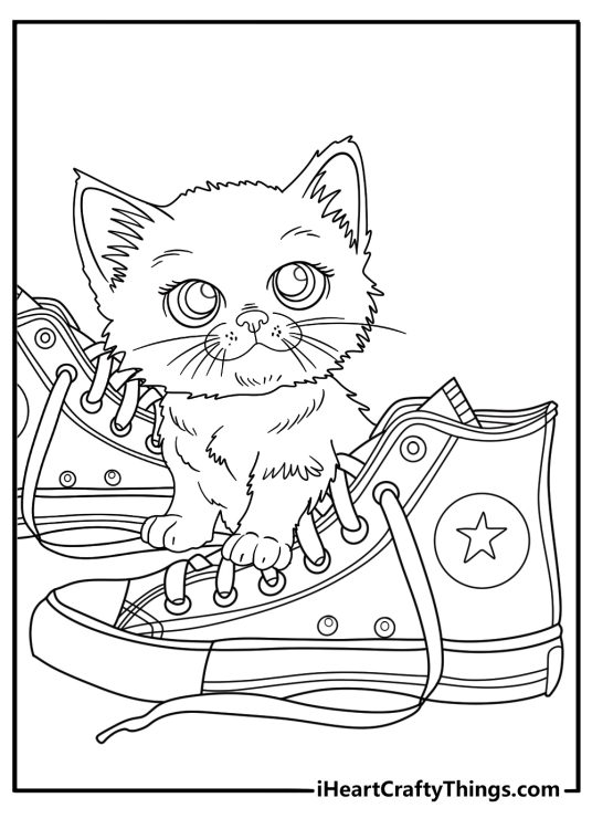 Fancy Hat Cat Coloring Poster