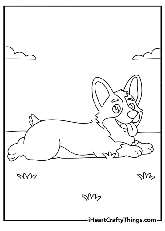 Smiling Corgi on the Grass Coloring Page